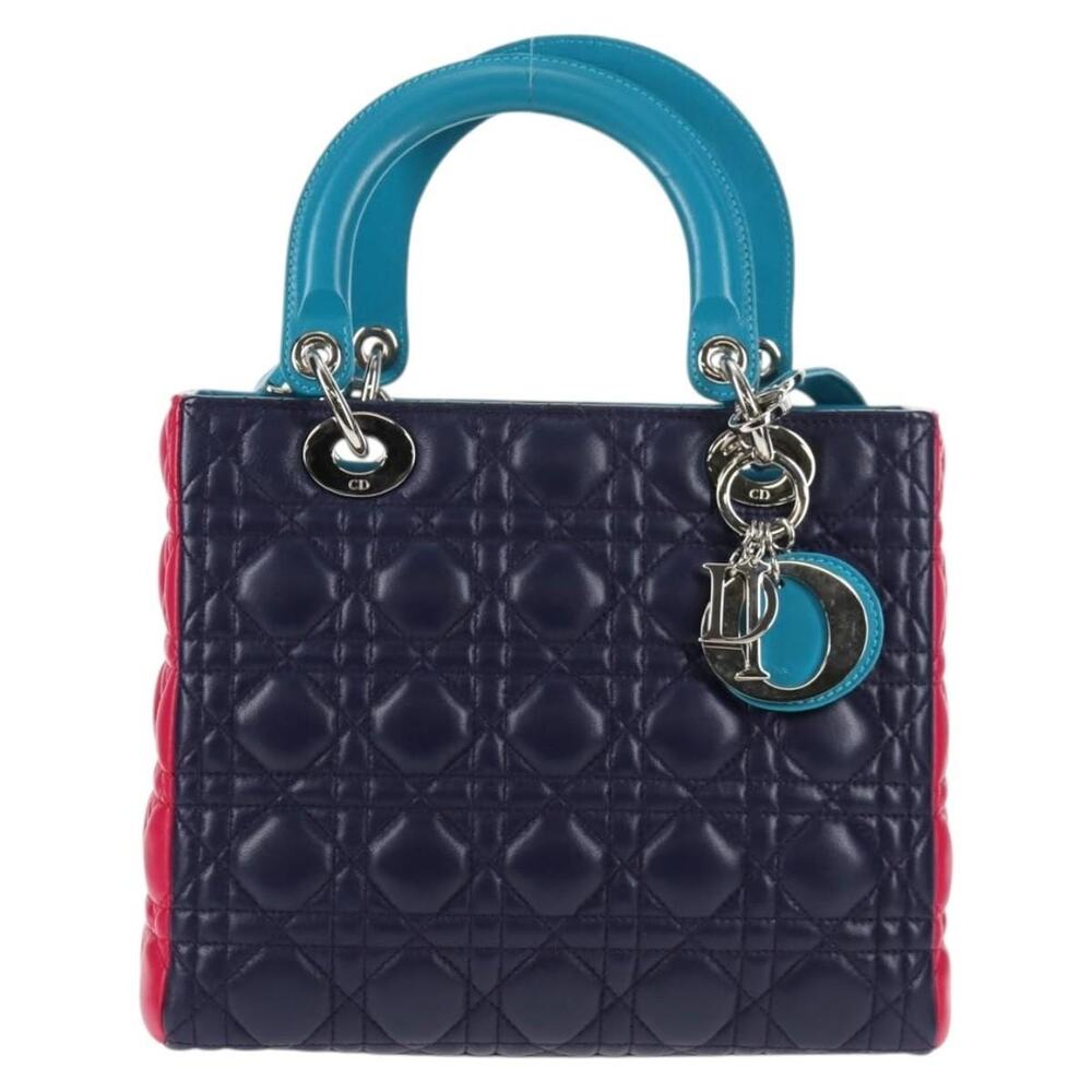 Dior Leather Canage Handbag Multicolor